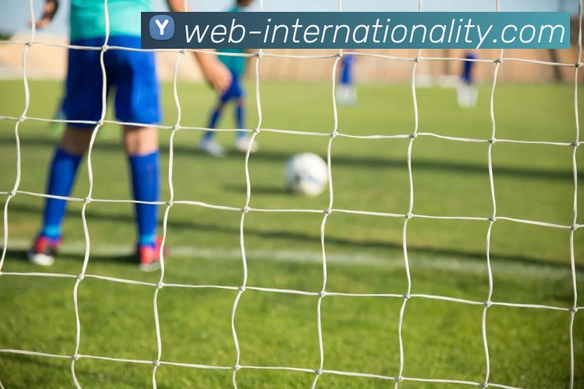 非凡国际服务体系